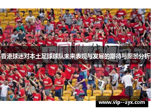 香港球迷对本土足球球队未来表现与发展的期待与愿景分析