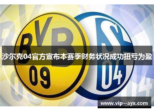 沙尔克04官方宣布本赛季财务状况成功扭亏为盈